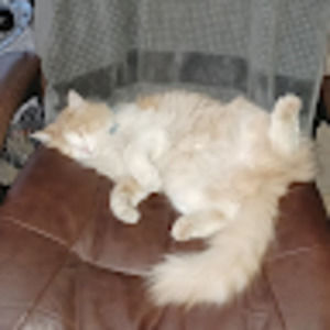 Meet your Posher, Mark